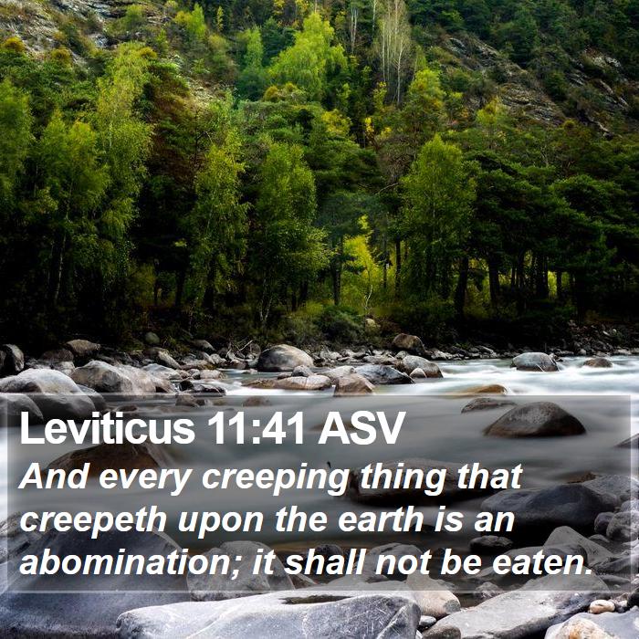 Leviticus 11:41 ASV Bible Study