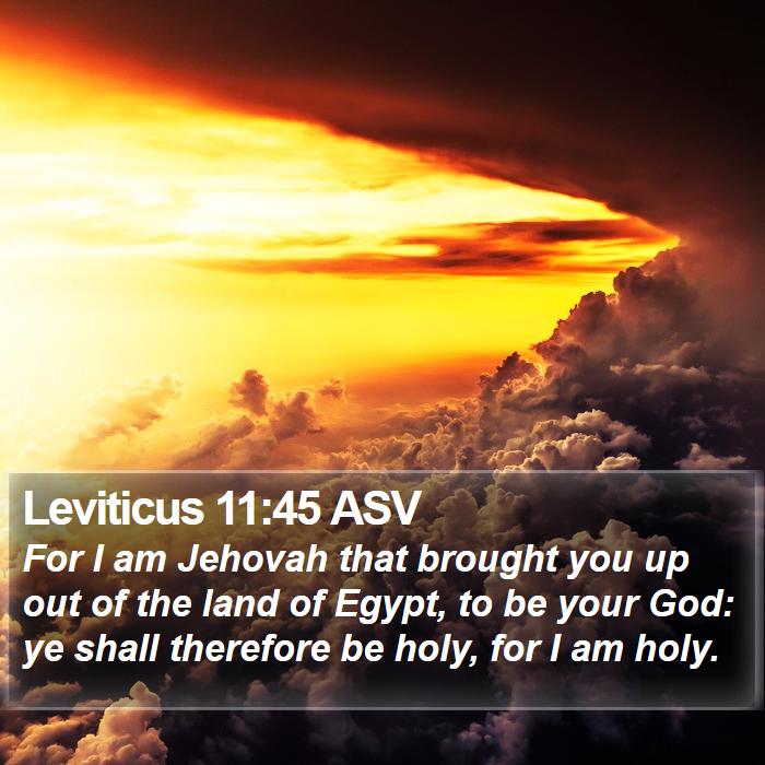 Leviticus 11:45 ASV Bible Study