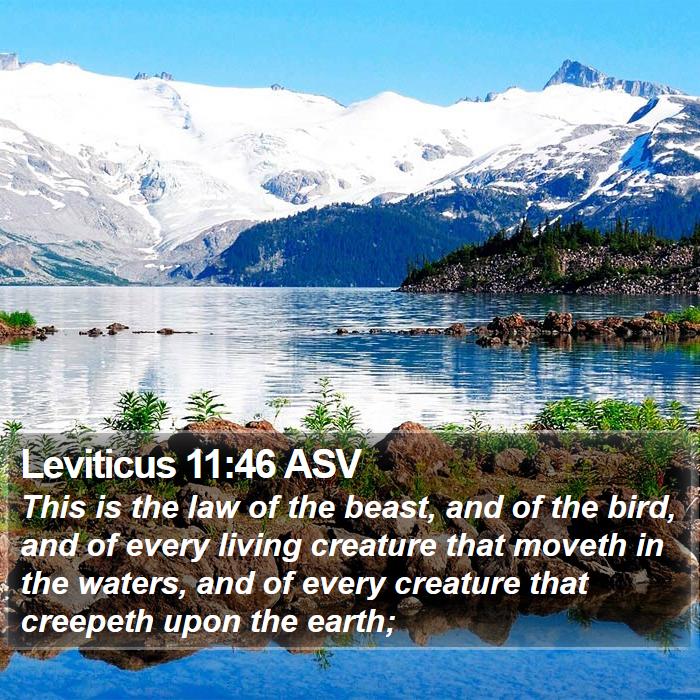 Leviticus 11:46 ASV Bible Study