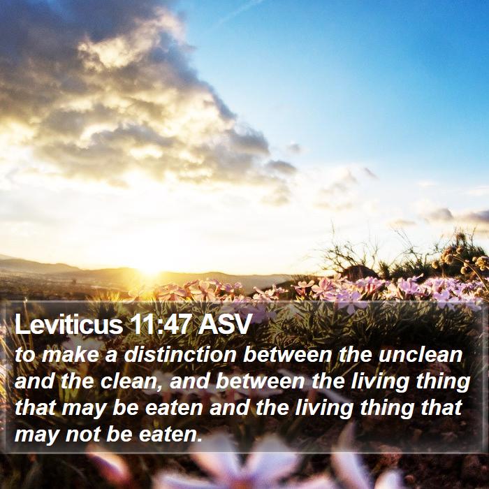 Leviticus 11:47 ASV Bible Study