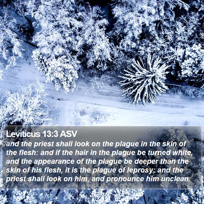 Leviticus 13:3 ASV Bible Study