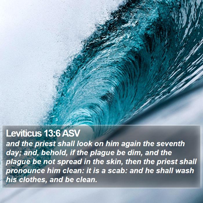 Leviticus 13:6 ASV Bible Study