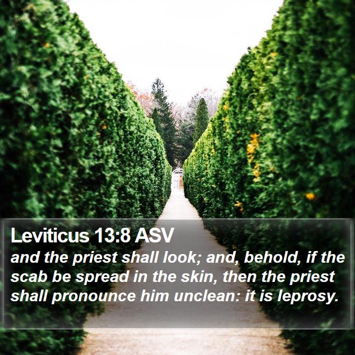 Leviticus 13:8 ASV Bible Study