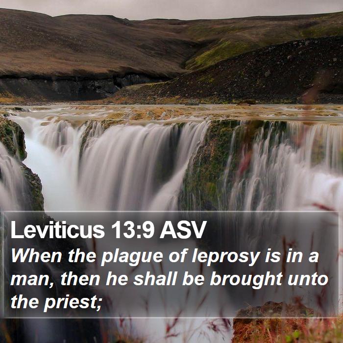 Leviticus 13:9 ASV Bible Study