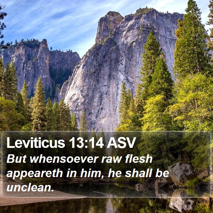 Leviticus 13:14 ASV Bible Study