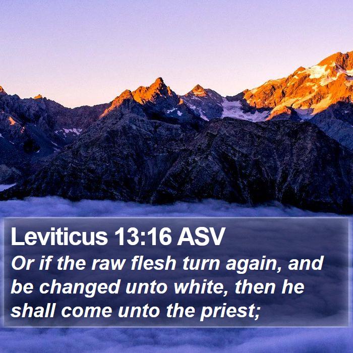 Leviticus 13:16 ASV Bible Study