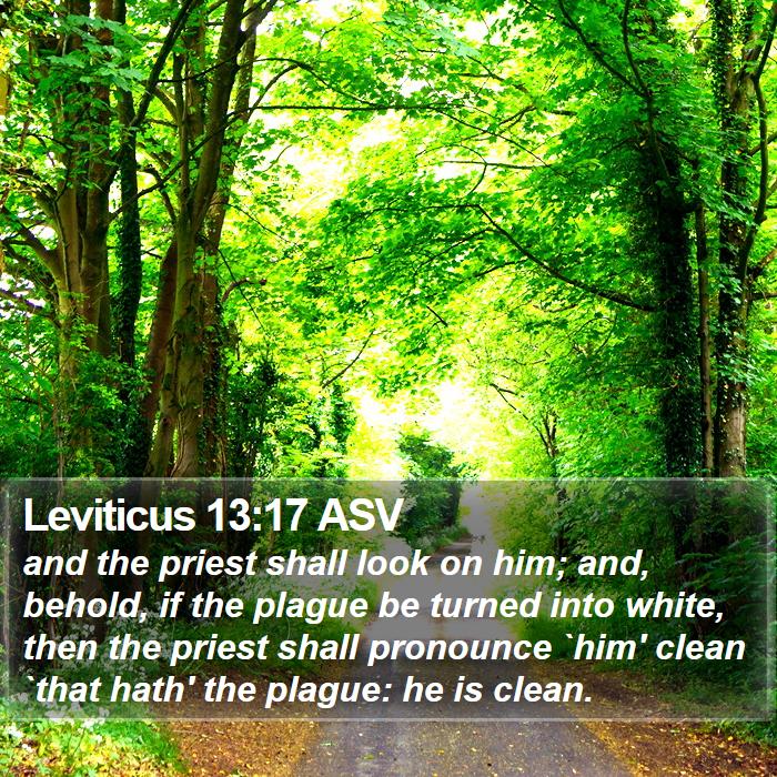 Leviticus 13:17 ASV Bible Study