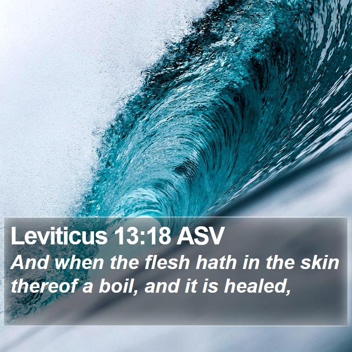 Leviticus 13:18 ASV Bible Study