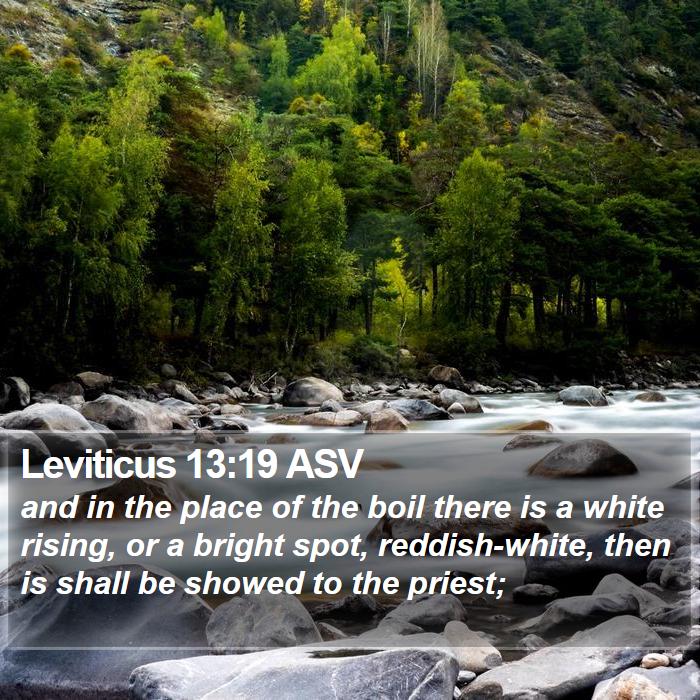 Leviticus 13:19 ASV Bible Study