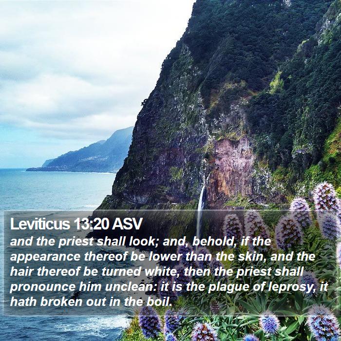 Leviticus 13:20 ASV Bible Study