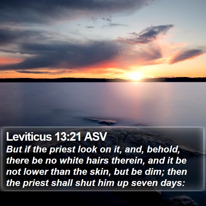 Leviticus 13:21 ASV Bible Study