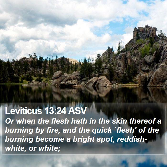 Leviticus 13:24 ASV Bible Study