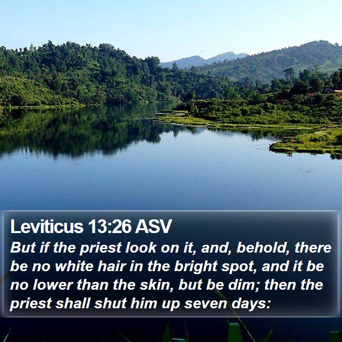 Leviticus 13:26 ASV Bible Study