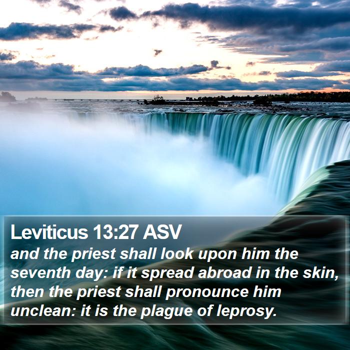 Leviticus 13:27 ASV Bible Study