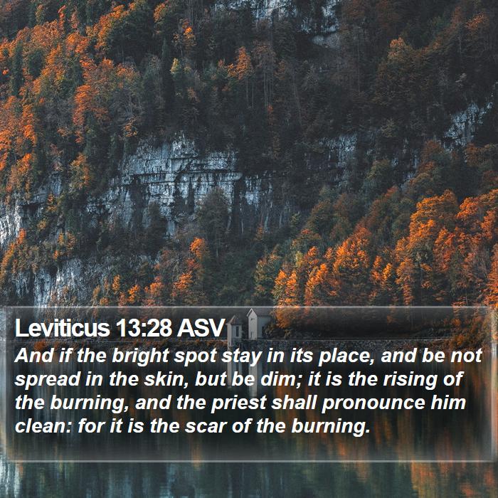 Leviticus 13:28 ASV Bible Study