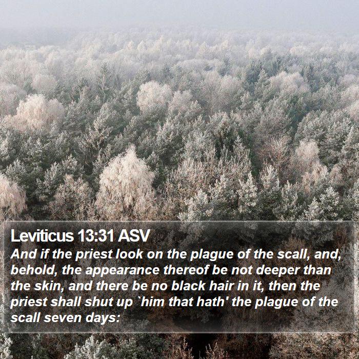 Leviticus 13:31 ASV Bible Study