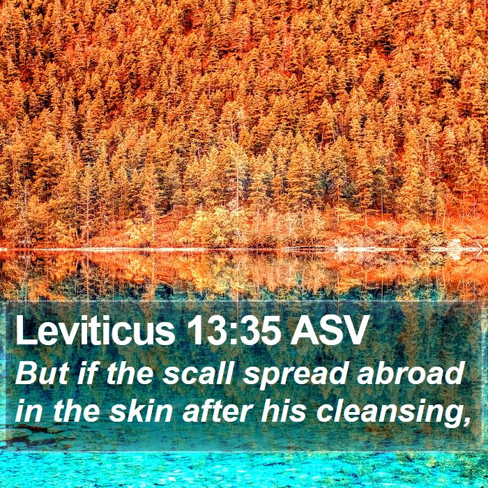 Leviticus 13:35 ASV Bible Study