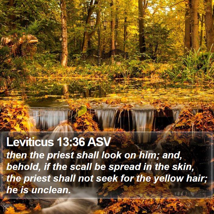 Leviticus 13:36 ASV Bible Study