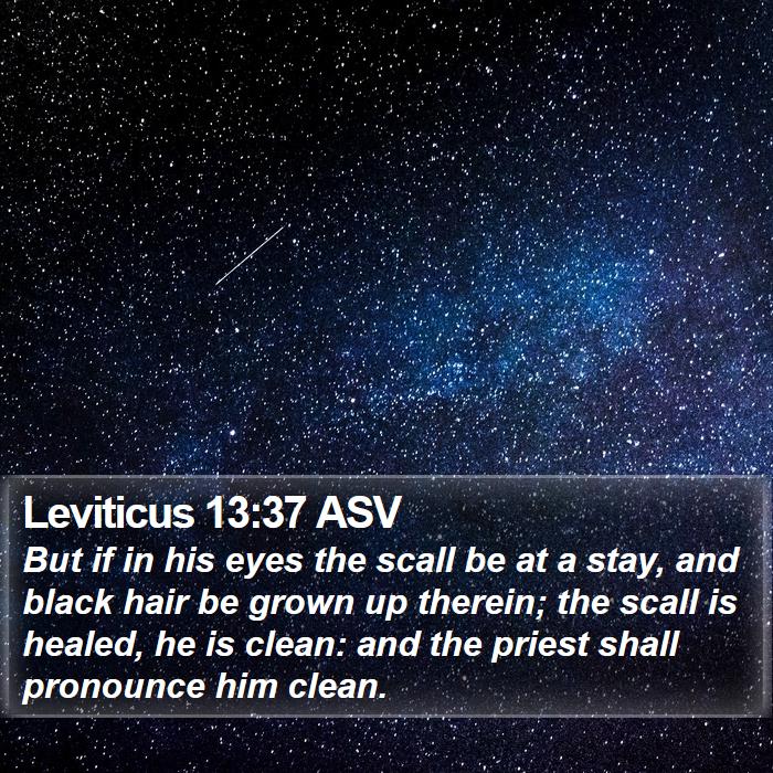 Leviticus 13:37 ASV Bible Study