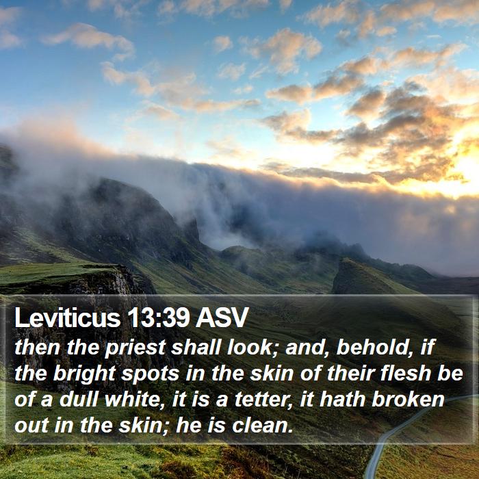 Leviticus 13:39 ASV Bible Study