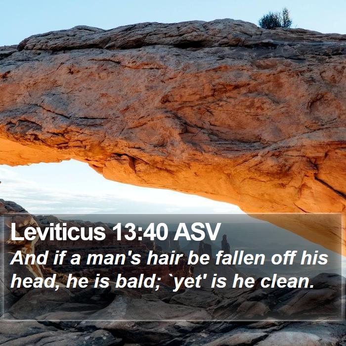 Leviticus 13:40 ASV Bible Study