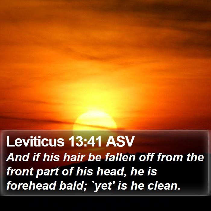 Leviticus 13:41 ASV Bible Study