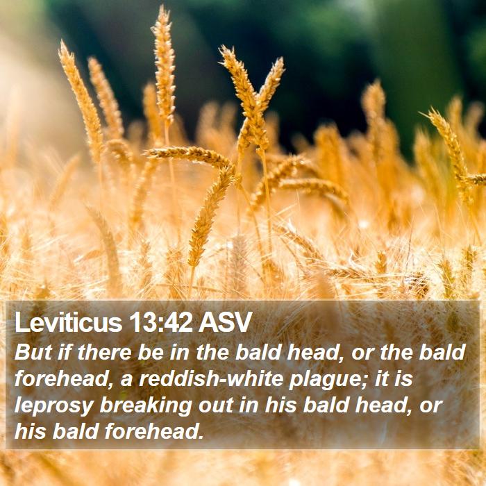 Leviticus 13:42 ASV Bible Study