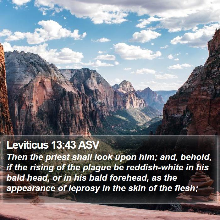 Leviticus 13:43 ASV Bible Study