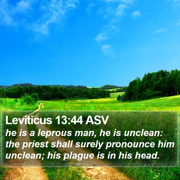 Leviticus 13:44 ASV Bible Study