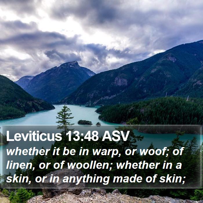 Leviticus 13:48 ASV Bible Study