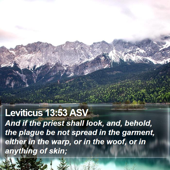 Leviticus 13:53 ASV Bible Study