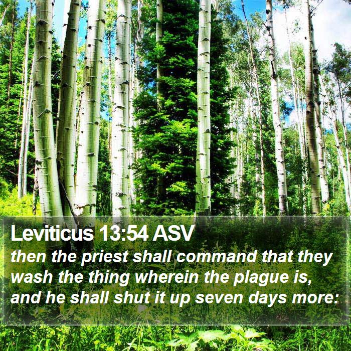 Leviticus 13:54 ASV Bible Study