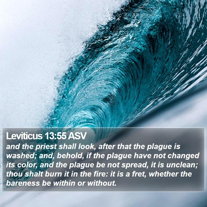 Leviticus 13:55 ASV Bible Study