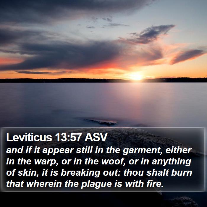 Leviticus 13:57 ASV Bible Study