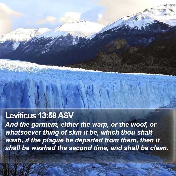 Leviticus 13:58 ASV Bible Study