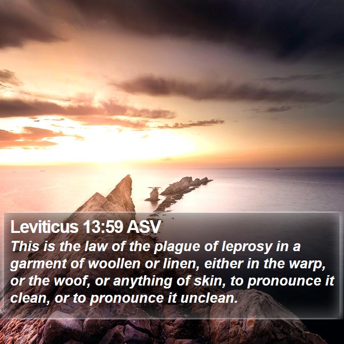 Leviticus 13:59 ASV Bible Study