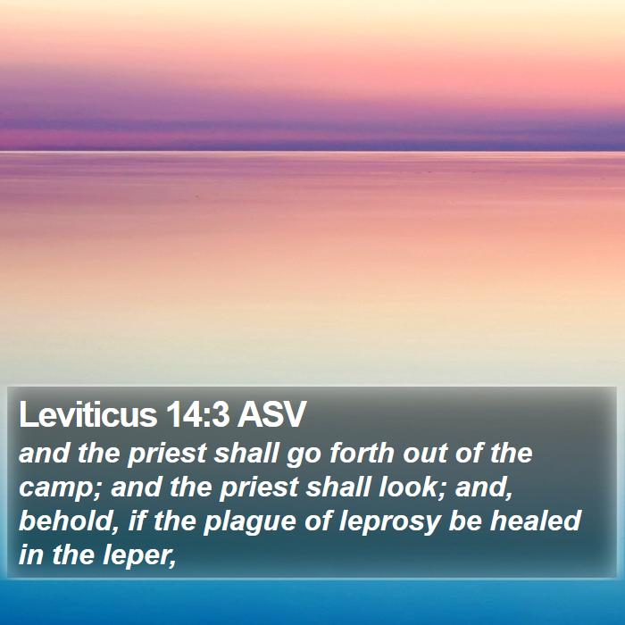 Leviticus 14:3 ASV Bible Study