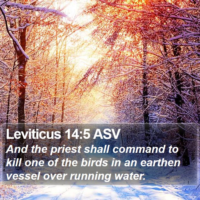 Leviticus 14:5 ASV Bible Study