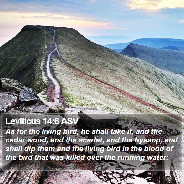 Leviticus 14:6 ASV Bible Study