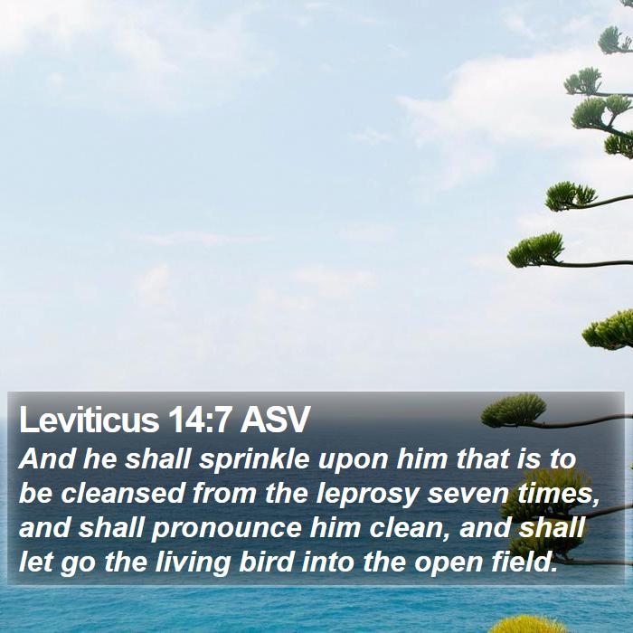 Leviticus 14:7 ASV Bible Study