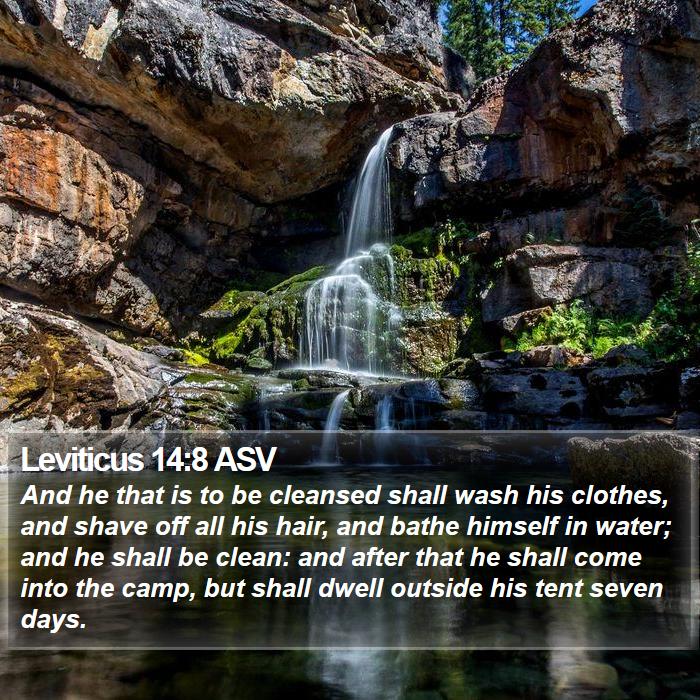 Leviticus 14:8 ASV Bible Study