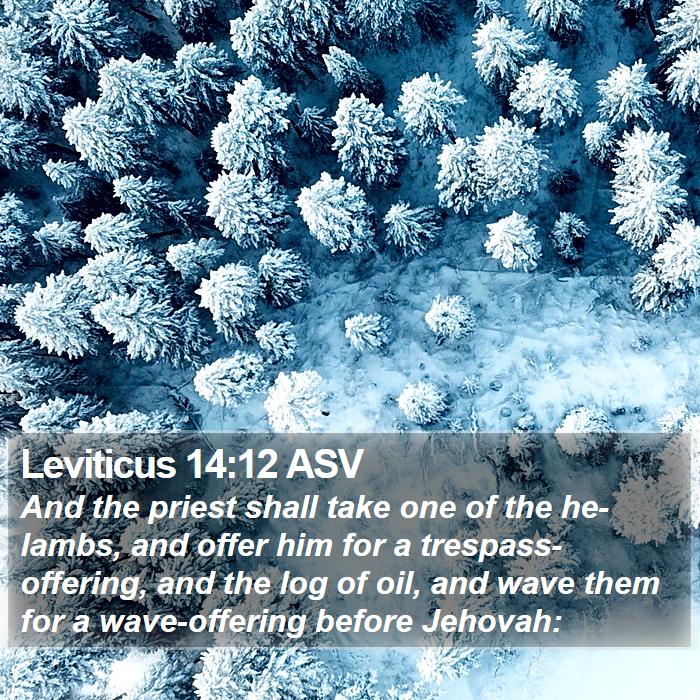 Leviticus 14:12 ASV Bible Study