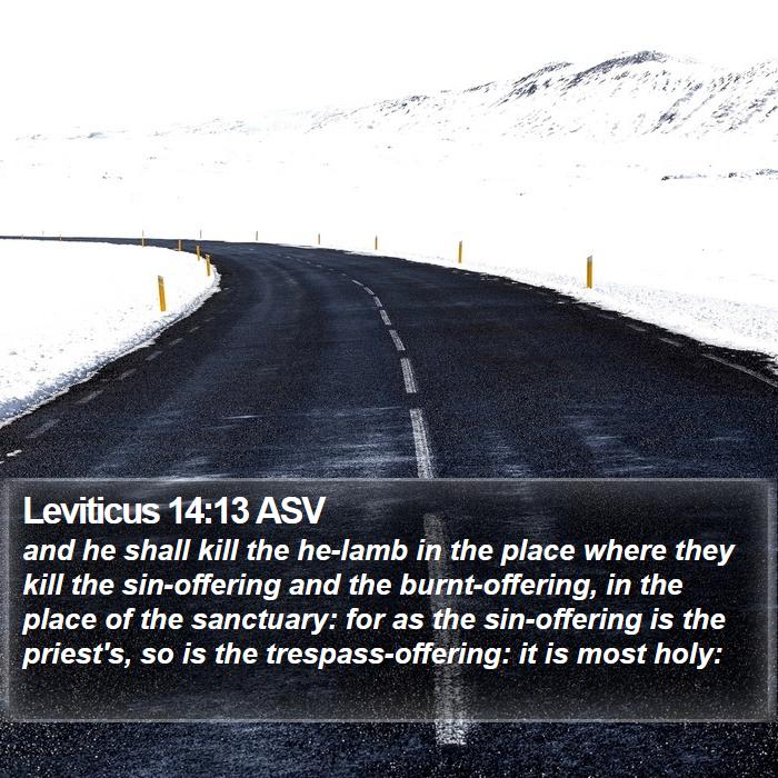 Leviticus 14:13 ASV Bible Study