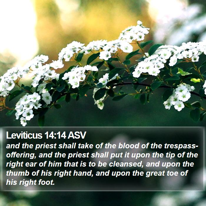 Leviticus 14:14 ASV Bible Study