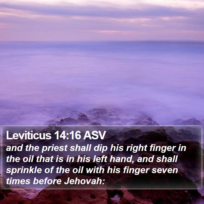 Leviticus 14:16 ASV Bible Study