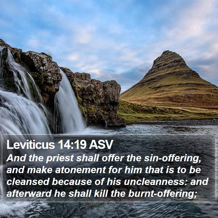 Leviticus 14:19 ASV Bible Study