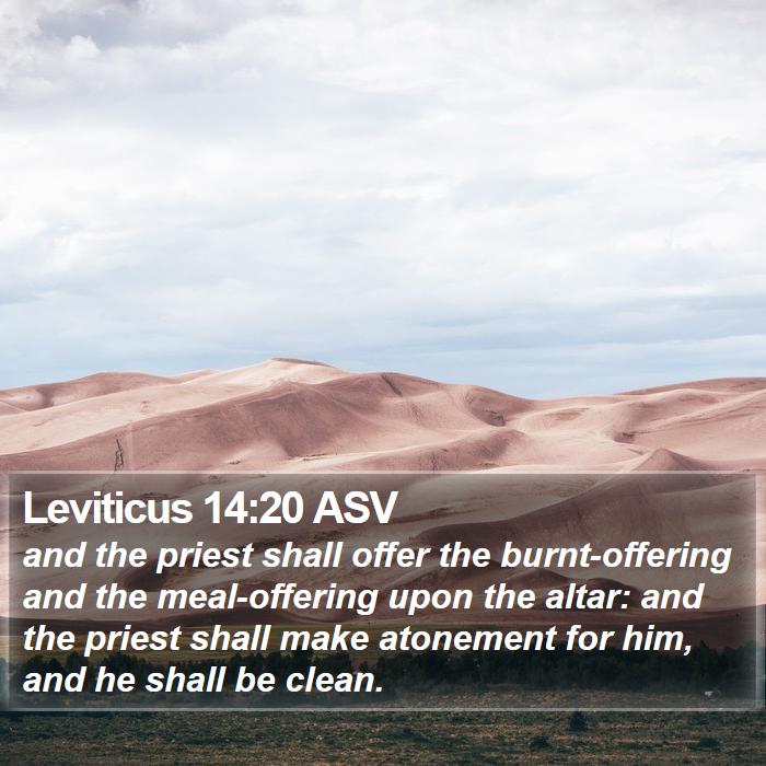 Leviticus 14:20 ASV Bible Study