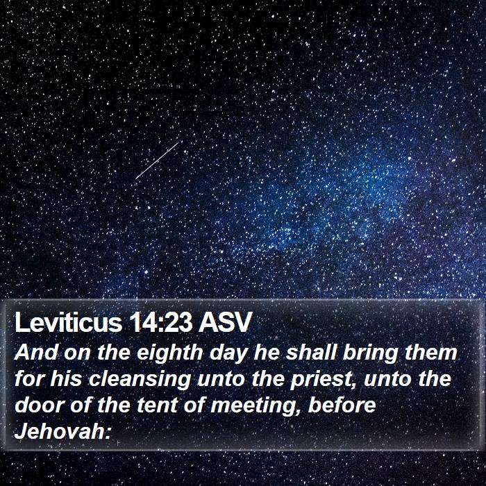 Leviticus 14:23 ASV Bible Study