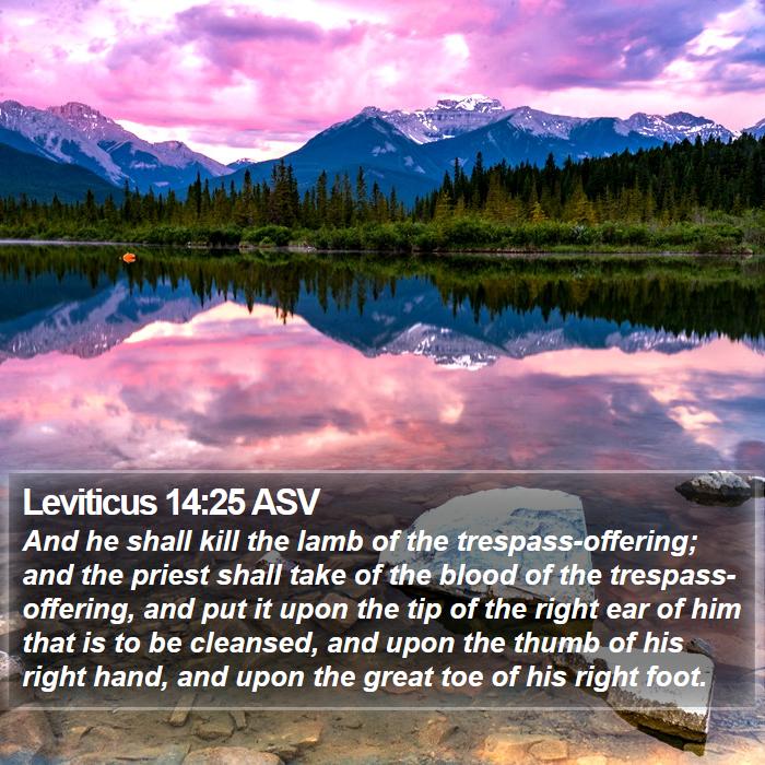 Leviticus 14:25 ASV Bible Study