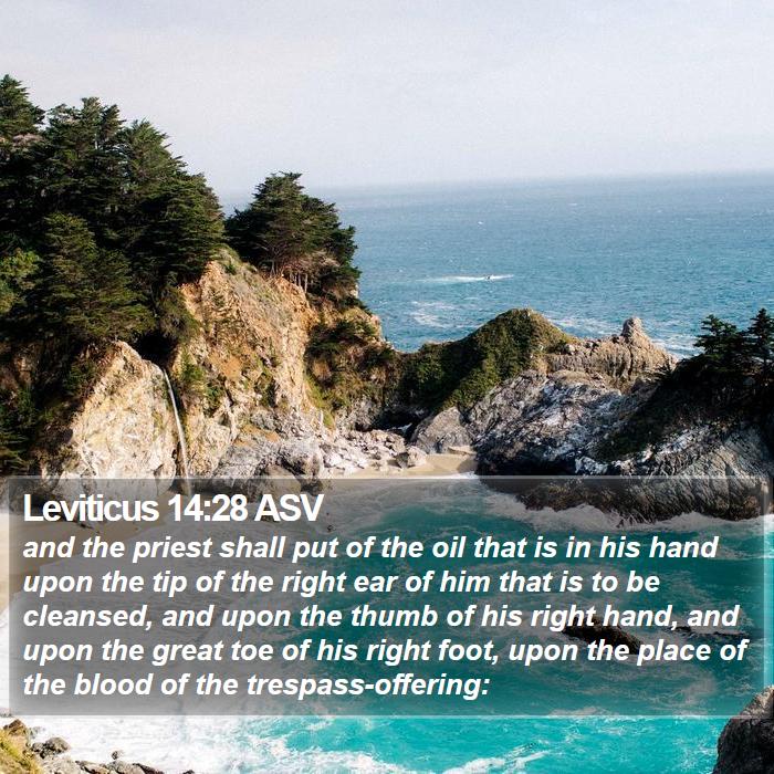 Leviticus 14:28 ASV Bible Study